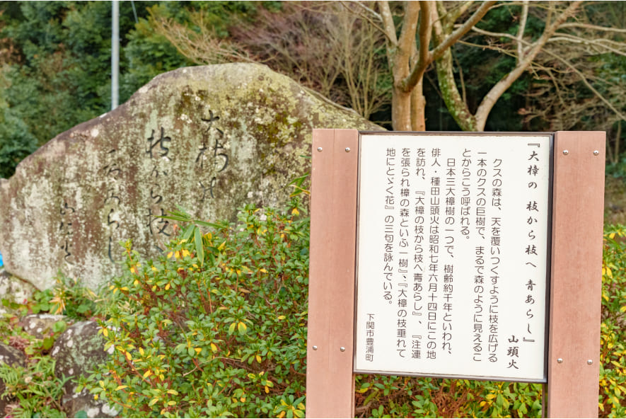 種田山頭火が読んだ句