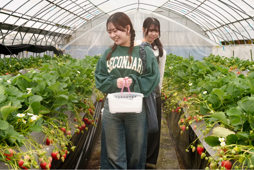 ハウス内を歩くスマイルサポーター