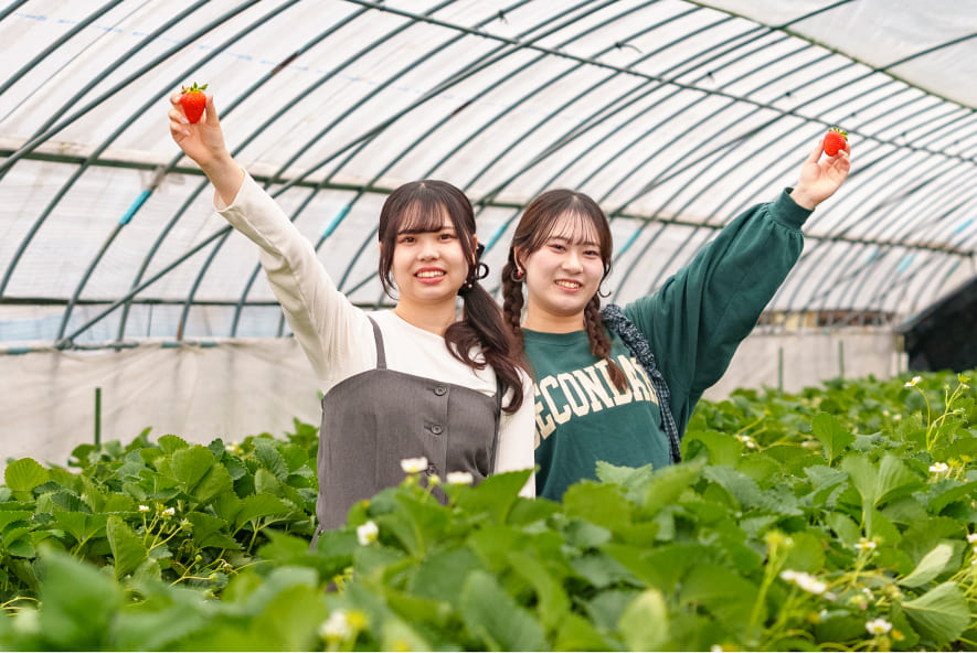 いちご狩りを楽しむスマイルサポーター