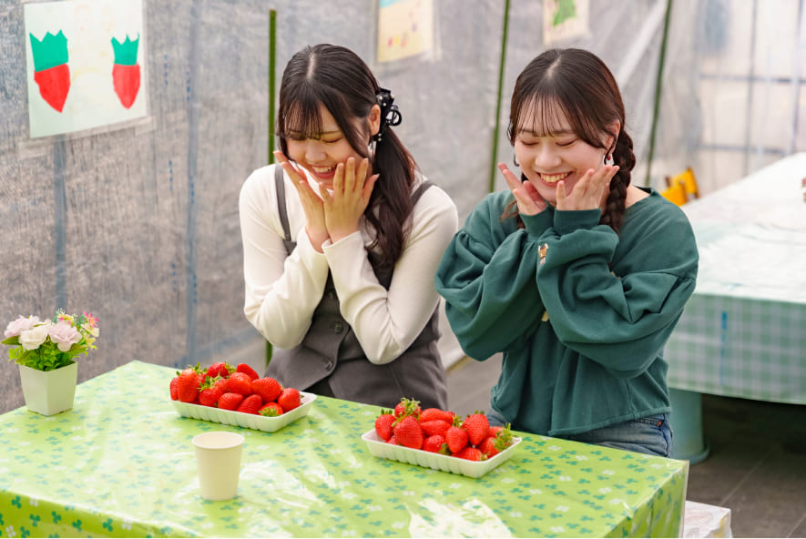 採れたてのいちごをお皿に並べるスマイルサポーター
