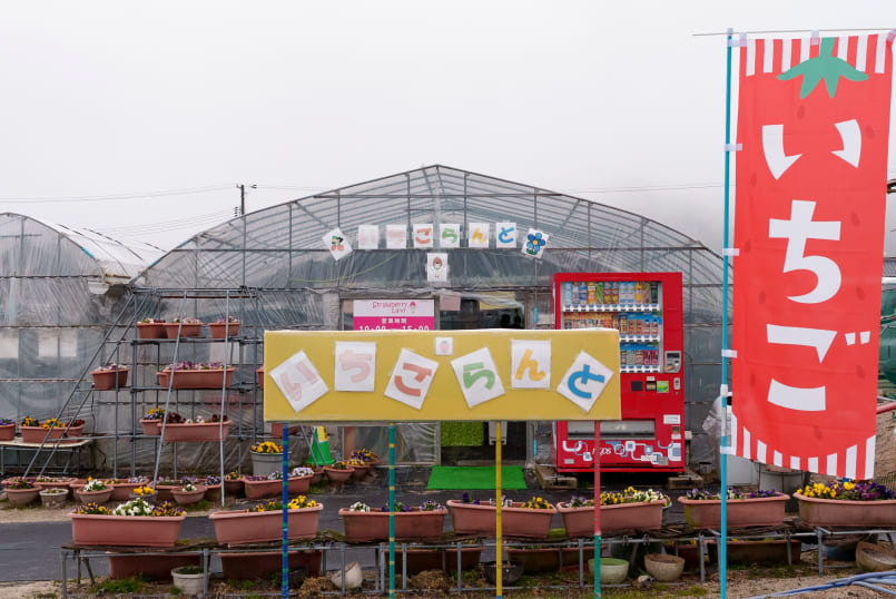 フジ園芸  いちごらんど