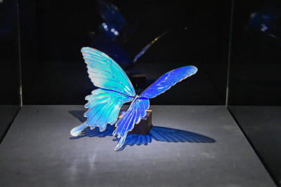 蝶々を模した工芸品