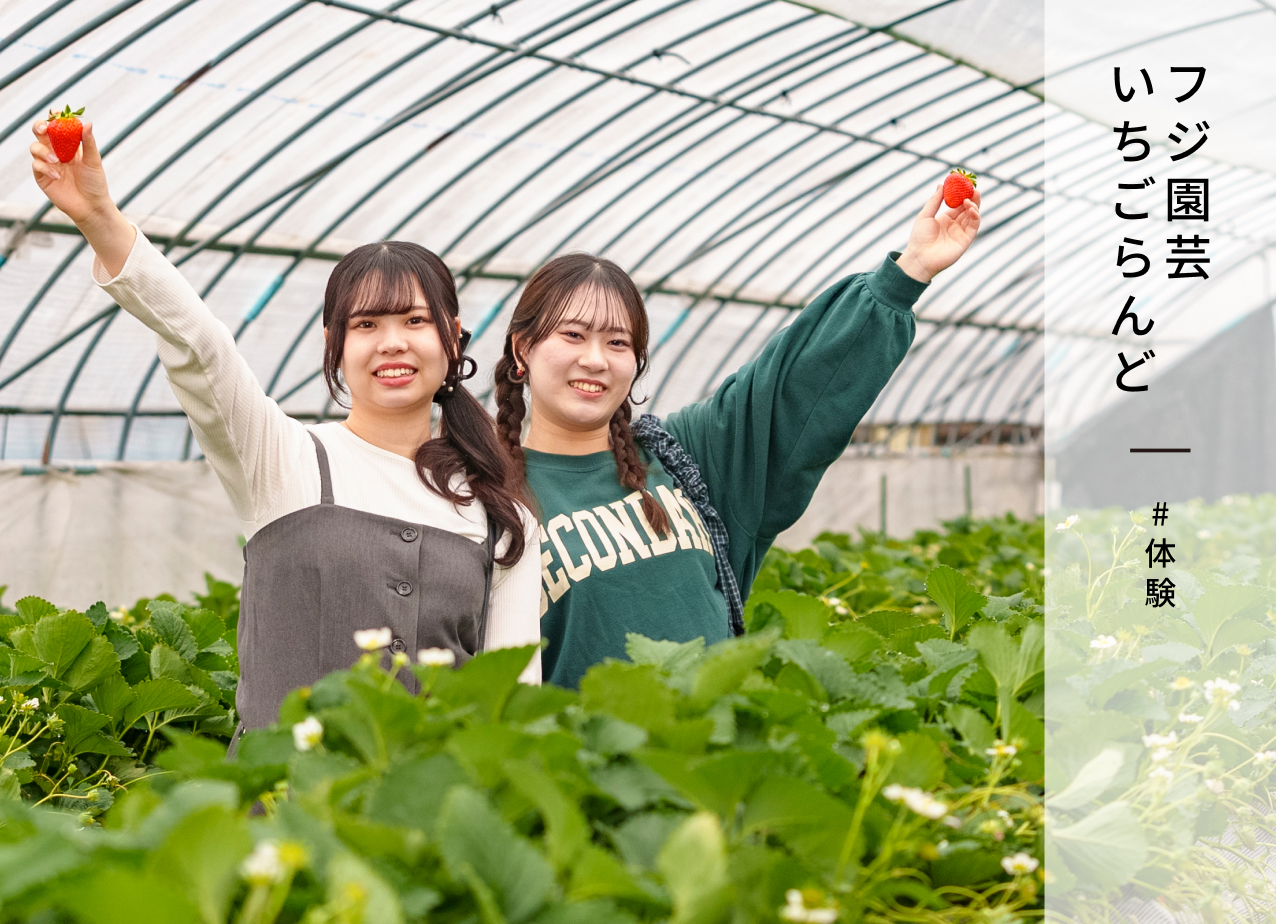 フジ園芸 いちごらんど